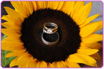 sunflower wedding rings